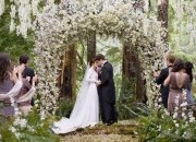 12 Segredos dos signos para um casamento harmonioso