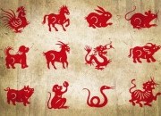 Horóscopo Chinês: Características de cada signo