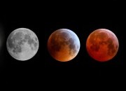 Calendário lunar para novembro 2023: os melhores dias do mês