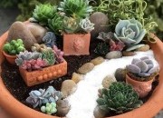 Faça um jardim zen em sua casa