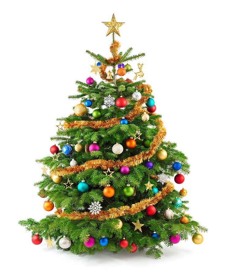 Árvore de Natal: Significado e +107 Modelos Para Se Inspirar